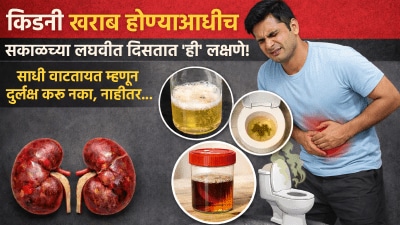 किडनी खराब होण्याआधीच सकाळच्या लघवीत दिसतात ‘ही’ लक्षणे! दुर्लक्ष करू नका…
