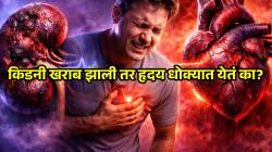 Kidney disease and heart attack risk: किडनी खराब झाली तर हृदय धोक्यात! डॉक्टरांचा इशारा; हार्ट अटॅकचा धोका टाळण्यासाठी ‘या’ ५ सवयी त्वरित बदलण का गरजेचं?