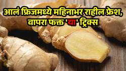 आलं फ्रिजमध्ये लवकर सुकून खराब होतंय? मग वापरा ‘ही’ ट्रिक; अनेक आठवडे राहील फ्रेश