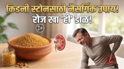 मुतखड्याचा चुरा होऊन लघवीतून बाहेर पडेल! फक्त जेवणात ‘या’ डाळीचे सेवन करा; रोज खाल्ल्यास सांधेदुखी, संधिवात अन् वजनही होईल झपाट्याने कमी