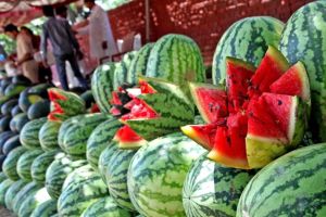 Martyr Agniveer Akshay Laxman Gawate