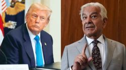 Strait of Hormuz : अमेरिकेचा गेम प्लॅन बदलला? होर्मुझच्या सामुद्रधुनीवरून पाकिस्तानच्या संरक्षण मंत्र्यांची टीका; इराणचा मोठा निर्णय!
