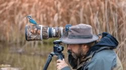 पक्षी प्रेमींसाठी पर्वणी! लेन्सच्या माध्यमातून जगाला भुरळ घालणारे ६ दिग्गज फोटोग्राफर्स
