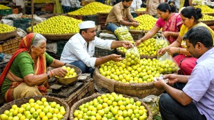 jalgaon-lemon-prices-hike-summer-demand-market-committee-rates-update