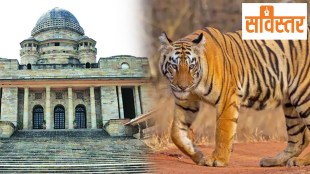 Nagpur High Court strict remarks on Forest Department | Tiger conservation issues in Vidarbha | Wildlife protection laws Maharashtra | Maharashtra Forest Ministry controversial projects