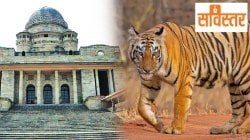 Judiciary vs Government on Wildlife: सविस्तर: वन्यजिवांवरून न्यायपालिका विरुद्ध सरकार !
