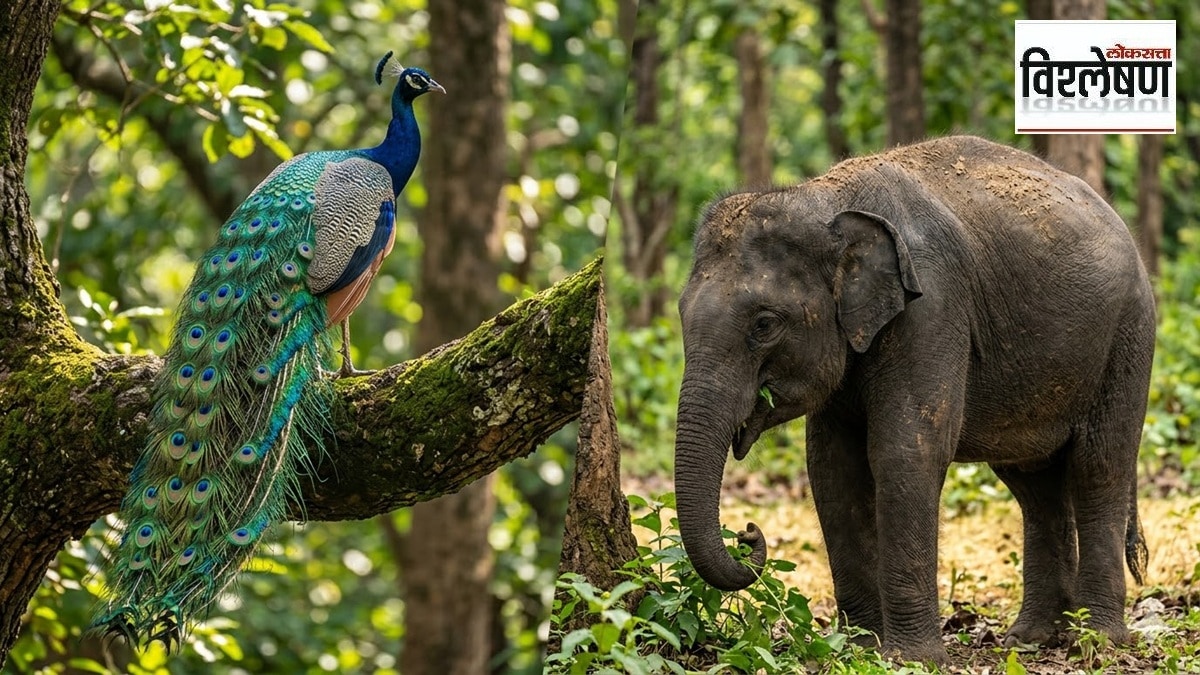 विश्लेषण : पक्षी, सरपटणाऱ्या प्राण्यांसारखे सस्तन प्राणी भडक रंगांचे का नसतात?