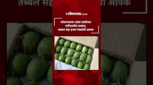 Mangoes from Konkan entered Vashis APMC