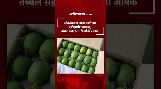 Mangoes from Konkan entered Vashis APMC