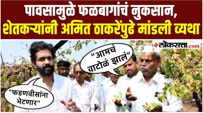 Amit Thackeray inspected the losses of farmers in Solapur
