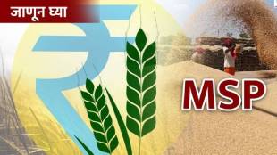 Sindhudurg Farmers Paddy MSP Issue | सिंधुदुर्ग शेतकरी हमीभाव भात खरेदी नोंदणी समस्या