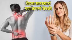 वेदना सारख्याचं, पण कारणं वेगळी; स्नायूंचं दुखणं आणि नसांचं दुखणं यातला फरक कसा ओळखायचा? डॉक्टरांनी दिला तक्ता