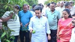​सिंधुदुर्गातील आंबा उत्पादकांना तंत्रज्ञानाचे ‘कवच’; एआय आणि ड्रोनद्वारे होणार बागांचे व्यवस्थापन करणार: पालकमंत्री नितेश राणे