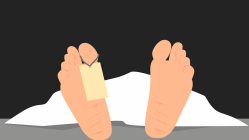 पुणे क्राईम डायरी : विजेच्या धक्क्याने कृषी महाविद्यालयातील विद्यार्थ्याचा मृत्यू