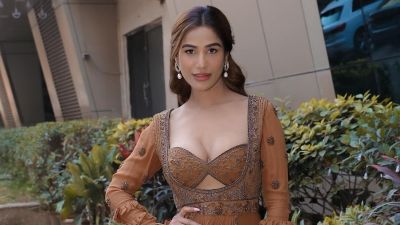 पूनम पांडे गरोदर? ‘त्या’ फोटोंमुळे चर्चांना उधाण; मराठी अभिनेता कमेंट करत म्हणाला…