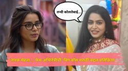 “तन्वी कोलतेबाई अशा खेळत आहेत जसं की…”, ‘तारक मेहता…’ फेम मराठमोळ्या अभिनेत्रीची ‘बिग बॉस मराठी’बद्दल प्रतिक्रिया; म्हणाली…