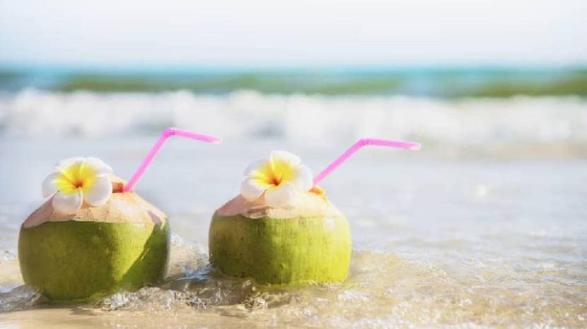 right-time-to-drink-coconut-water