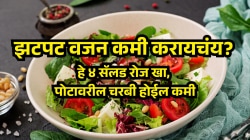 वजन झपाट्याने कमी करायचंय? डॉक्टरांनी सांगितलेली ही ४ सॅलड रोज खा, पोटावरील चरबी होईल कमी