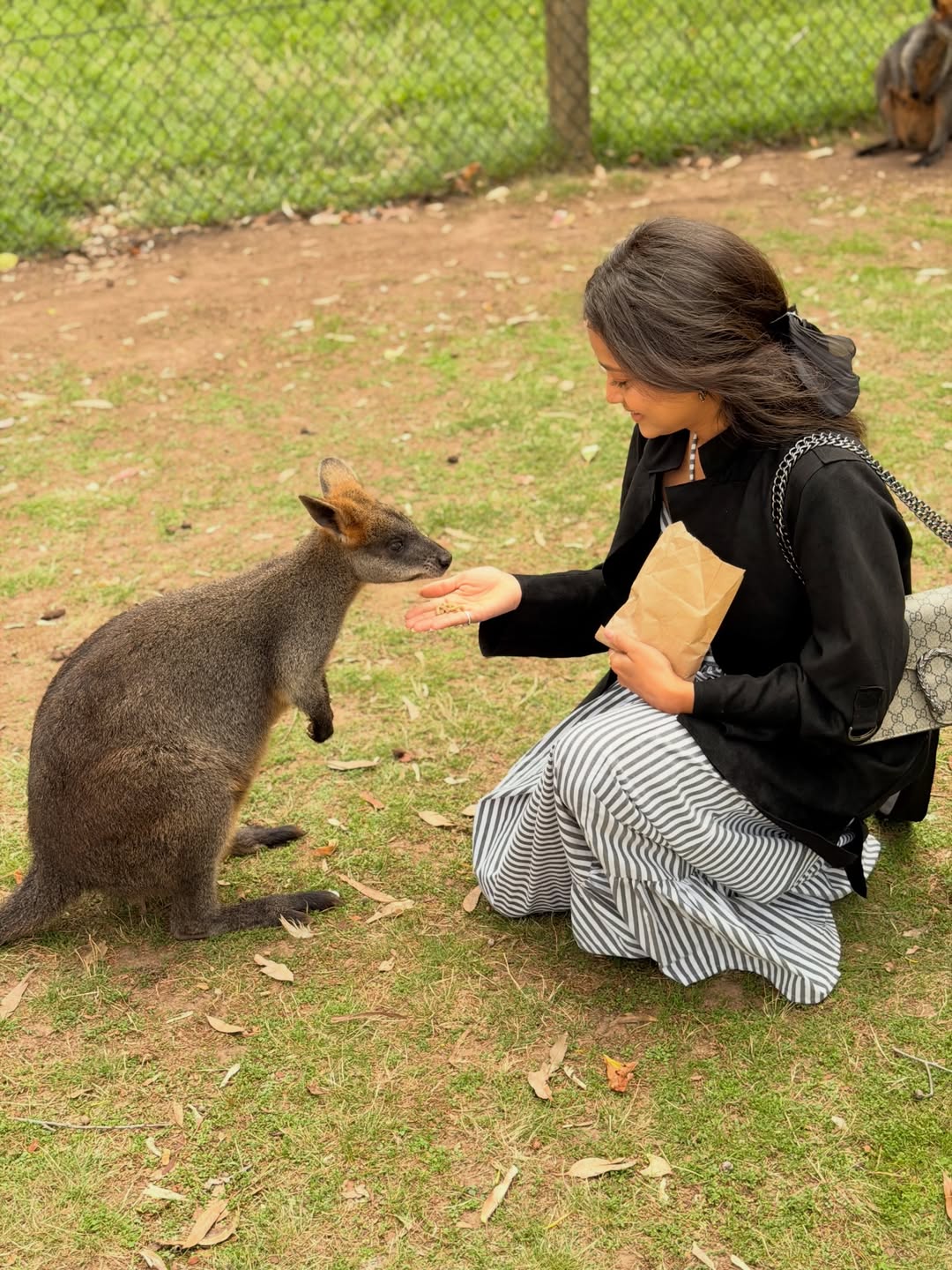 marathi actress shivali parab went to australia photoshoot with kangaroo