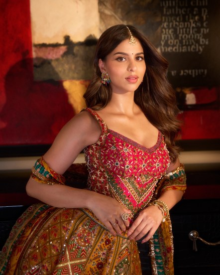 Bollywood Star kid ott debut