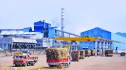 ५० टक्के कारखाने टाळेबंदीच्या मार्गावर, शेतकऱ्यांची ४३१५ कोटींची एफआरपी थकली; साखर उद्योगावर विधानसभेत चिंता