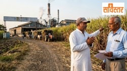 सविस्तर: साखर उद्योगावर ही वेळ का ओढवली? आर्थिक बोजा कसा सावरणार?