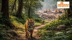 सविस्तर: लोहारडोंगरीमागील वास्तव नेमके काय?