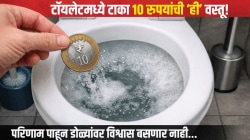 टॉयलेटमध्ये टाका १० रुपयांची ‘ही’ वस्तू! रातोरात होईल कमाल, परिणाम पाहून डोळ्यांवर विश्वास बसणार नाही…
