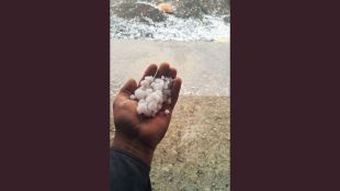 unseasonal-rain-and-hailstorm-lash-sangli-for-third-consecutive-day-mla-gopichand-padalkar-inspects-damage-in-jat