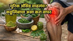 युरिक ॲसिड वाढलंय आणि सांधे दुखतायेत? कडूलिंबाचा या ३ पद्धतीने करा वापर; मिळू शकतो आराम