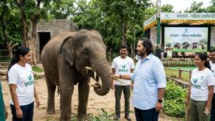 Vantara Foundation Anniversary | वनतारा वर्धापनदिन अनंत अंबानी | Anant Ambani Vantara Jamnagar | Wildlife Conservation India