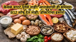 आतड्याचे आरोग्य बिघडले तर मेंदूवर होईल परिणाम! व्हिटॅमिन B12 बद्दल जाणून घ्या हे ५ महत्त्वाचे मुद्दे