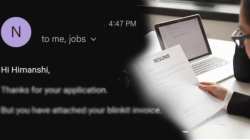 रेझ्युमेऐवजी तरुणीने पाठवले ब्लिंकइटचे बिल; एचआरने पाहताच काय केलं एकदा वाचाच, Photo व्हायरल