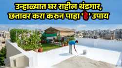 एसी नाही? टेन्शन नको; उन्हाळ्यात छतावर करा ‘या’ ४ गोष्टी, घर राहील एकदम थंडगार