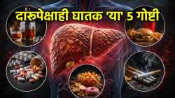 सावधान! दारूपेक्षाही घातक ‘या’ ५ गोष्टी; लिव्हर करेल खराब