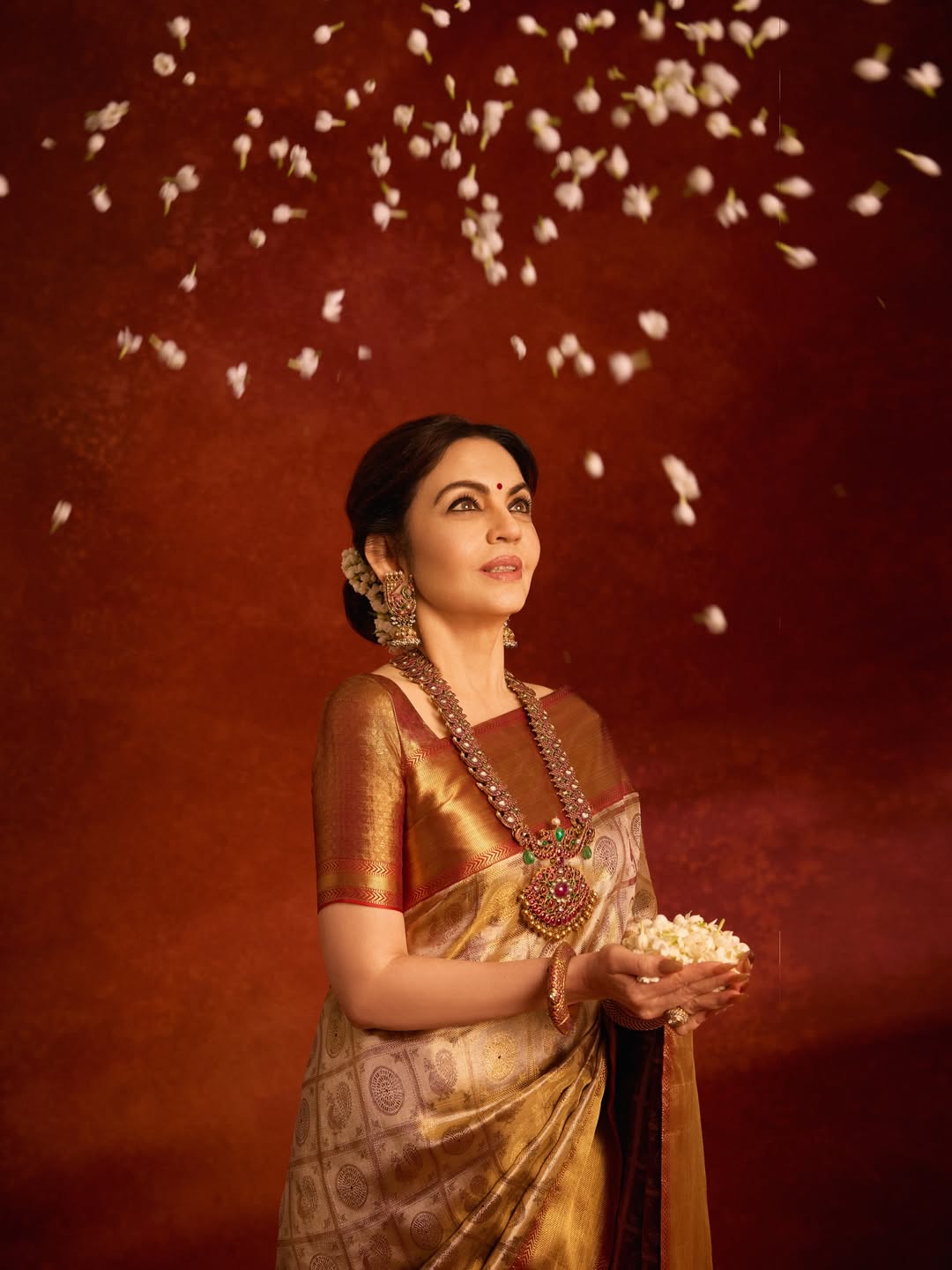 Nita Ambani Jamdani Saree look