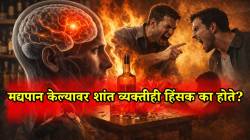 दोन पेग आणि माणूस ‘वाघ’? मद्यपान केल्यावर शांत व्यक्तीही हिंसक का होते? त्यामागील विज्ञान काय आहे?