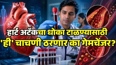 हार्ट अटॅकचा धोका टाळण्यासाठी ‘ApoB’ चाचणी भारतीयांसाठी ठरणार का गेमचेंजर?