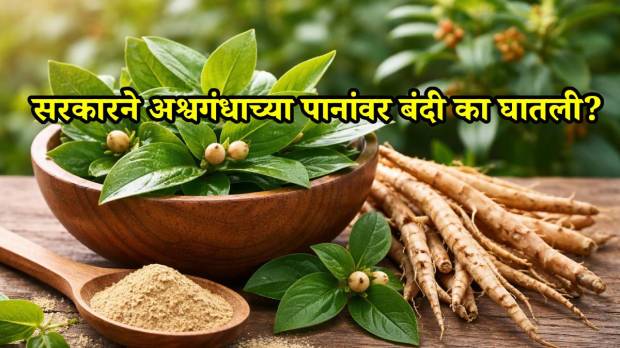 Ashwagandha Leaves Ban India FSSAI