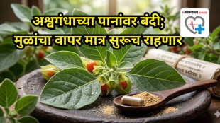 Ban on Ashwagandha Leaves Roots Still Permitted