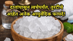 दातांपासून त्वचेपर्यंत तुरटीचे अनेक फायदे; वापरण्यापूर्वी ‘ही’ महत्त्वाची खबरदारी जाणून घ्या