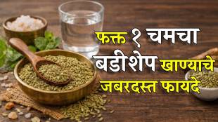 Benefits of eating Fennel Seeds