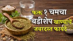 तोंडाची दुर्गंधी ते अपचनासह अनेक समस्या होतील दूर; दररोज १ चमचा बडीशेप खायला अजिबात विसरू नका; फायदे वाचून व्हाल थक्क