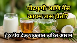 घाईघाईने खाता आणि अन्न नीट चावत नाही? पोटात गॅस, जडपणा आणि आम्लपित्त होत असेल तर हे ४ पेय प्या, झटक्यात मिळेल आराम