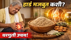 हाडांमध्ये कॅल्शियमची कमतरता? ‘ही’ घरगुती पावडर ठरू शकते गेमचेंजर; सांध्यातील वेदना कमी होण्याची शक्यता!