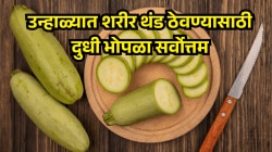 उन्हाळ्यात नैसर्गिक गारवा देणारा दुधी भोपळा! वजन कमी करणे ते मुधमेहावर नियंत्रण; संशोधन सांगते मोठे फायदे