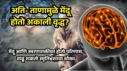 सततचा ताण ठरू शकतो मेंदूसाठी घातक! मेंदू होतो अकाली वृद्ध? वाढतो स्मृतिभ्रंशाचा धोका