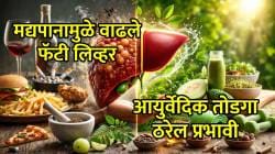 मद्यपानाच्या सवयीमुळे लिव्हरवर चरबी वाढली? ‘हे’ आयुर्वेदिक उपाय ठरतील संजीवनी…