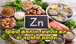 सतत आजारी पडताय? मग शरीरात असू शकते ‘या’ खनिजाची कमतरता… वेळीच ओळखा आणि आहारात करा बदल