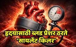 वेळीच सावध व्हा! वाढलेलं ब्लड प्रेशर हृदयाला आतून करतं कमकुवत, तज्ज्ञांनी दिला हार्ट फेल होण्याचा इशारा